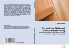 Bookcover of Customizing, Risiko und Aufwandsabschätzung