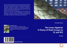 Copertina di The Lower Algebraic K-Theory of Braid Groups on S2
and RP2