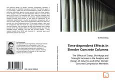 Copertina di Time-dependent Effects in Slender Concrete Columns