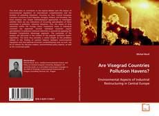 Portada del libro de Are Visegrad Countries Pollution Havens?
