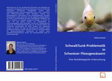 Couverture de Schwall/Sunk-Problematik in Schweizer Fliessgewässern