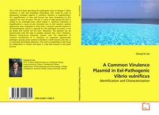 Copertina di A Common Virulence Plasmid in Eel-Pathogenic Vibrio
vulnificus