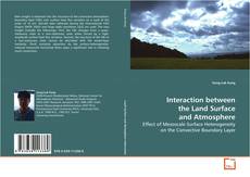 Buchcover von Interaction between the Land Surface and Atmosphere