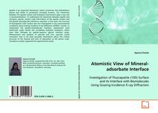 Buchcover von Atomistic View of Mineral-adsorbate Interface