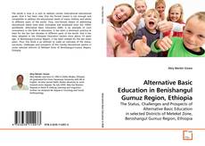 Couverture de Alternative Basic Education in Benishangul Gumuz Region, Ethiopia