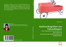 Buchcover von Gefahrenkognition von Fahranfängern