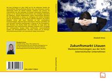 Copertina di Zukunftsmarkt Litauen
