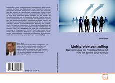 Copertina di Multiprojektcontrolling