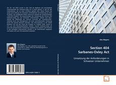 Couverture de Section 404 Sarbanes-Oxley Act