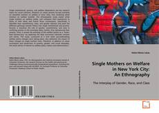 Capa do livro de Single Mothers on Welfare in New York City: An
Ethnography 