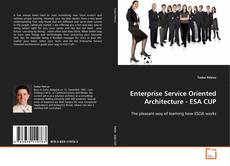 Copertina di Enterprise Service Oriented Architecture - ESA CUP