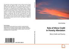Couverture de Role of Micro Credit in Poverty Alleviation