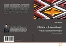 Couverture de Effizienz in Organisationen