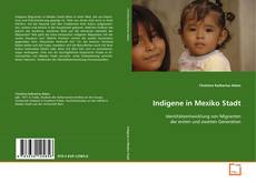 Capa do livro de Indigene in Mexiko Stadt 