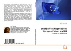 Buchcover von Enlargement Negotiations Between Poland and EU