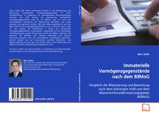 Couverture de Immaterielle Vermögensgegenstände nach dem BilMoG