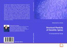 Couverture de Structural Plasticity of Dendritic Spines