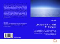 Buchcover von Convergence In The Midst Of Divergence