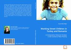 Buchcover von Working Street Children in Turkey and Romania