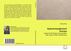Couverture de Hydroentanglement Process