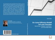 Buchcover von Ein Jump-Diffusion-Modell mit zwei Zinsraten