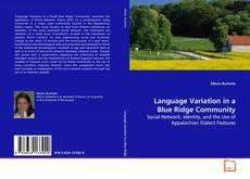 Buchcover von Language Variation in a Blue Ridge Community