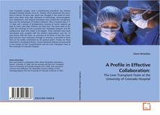 Capa do livro de A Profile in Effective Collaboration: 
