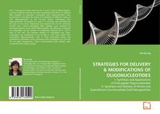 Buchcover von STRATEGIES FOR DELIVERY
