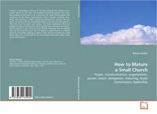 Copertina di How to Mature a Small Church