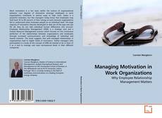 Capa do livro de Managing Motivation in Work Organizations 