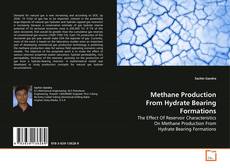 Buchcover von Methane Production From Hydrate Bearing Formations