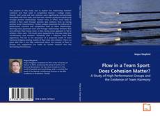Buchcover von Flow in a Team Sport: Does Cohesion Matter?