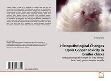 Copertina di Histopathological Changes Upon Copper Toxicity in broiler chicks