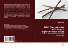 Buchcover von Batch Aqueous-phase Reforming of Lignocellulosic Biomass
