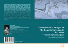 Copertina di Microstructural Analysis of the Ceramic Corrosion in
Frit Melts