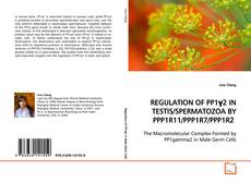 Buchcover von REGULATION OF PP1γ2 IN TESTIS/SPERMATOZOA BY
PPP1R11/PPP1R7/PPP1R2