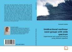 Buchcover von Unidirectional nonlinear wave groups with wide
spectrum