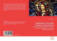 Buchcover von Meditation in the Holy Sonnets of John Donne