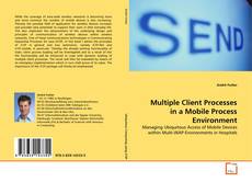 Buchcover von Multiple Client Processes in a Mobile
Process Environment