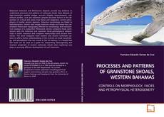 Copertina di PROCESSES AND PATTERNS OF GRAINSTONE SHOALS, WESTERN
BAHAMAS