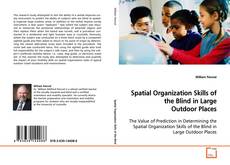 Copertina di Spatial Organization Skills of the Blind in Large
Outdoor Places