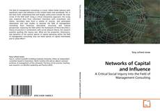 Обложка Networks of Capital and Influence