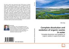 Copertina di Complete dissolution and oxidation of organic wastes
in water