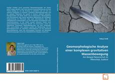 Copertina di Geomorphologische Analyse einer komplexen
gravitativen Massenbewegung
