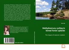 Buchcover von Methylmercury cycling in boreal forest uplands