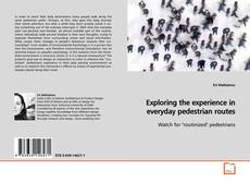 Couverture de Exploring the experience in everyday pedestrian routes