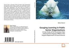 Buchcover von Gauging Learning in Public Sector Organizations
