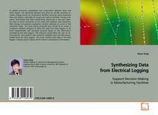 Synthesizing Data from Electrical Logging kitap kapağı