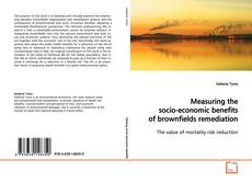 Copertina di Measuring the socio-economic benefits of
brownfields remediation