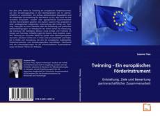 Twinning - Ein europäisches Förderinstrument kitap kapağı